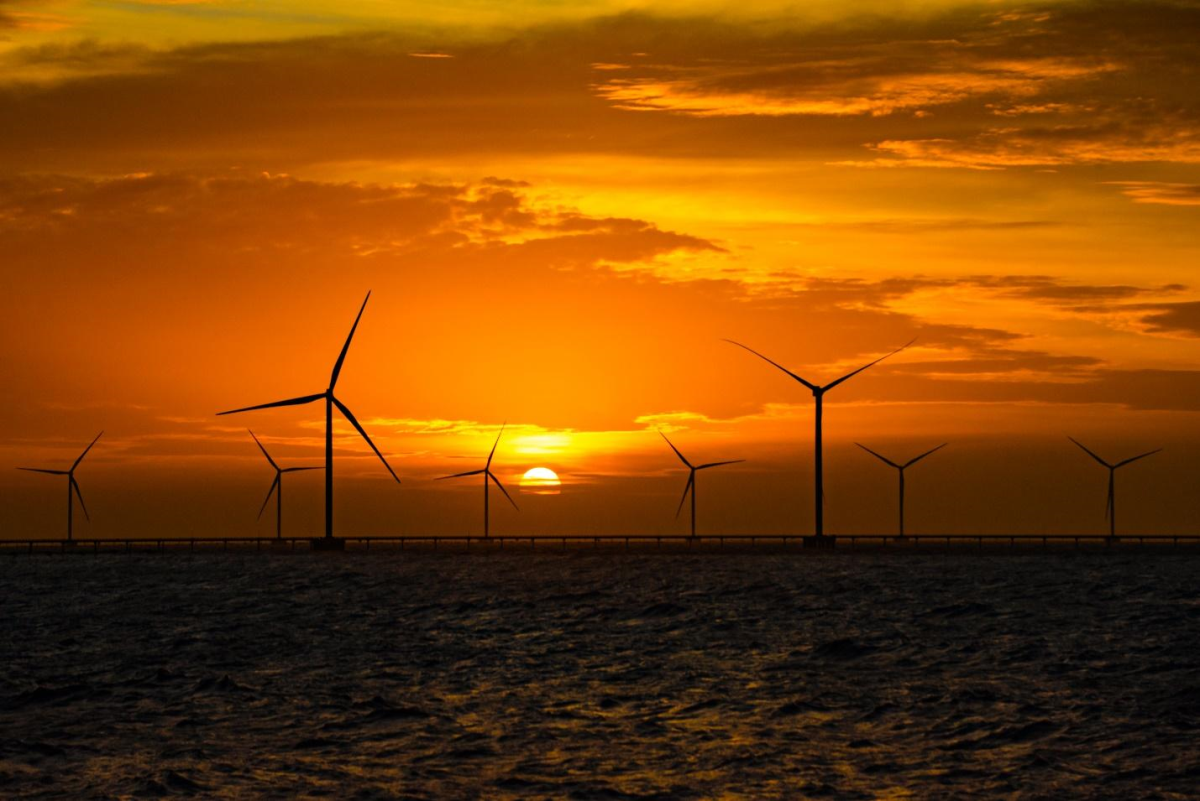 Nhà máy điện gió Đông Hải 1 khi hoàng hôn. Ảnh: Trung Nam Group