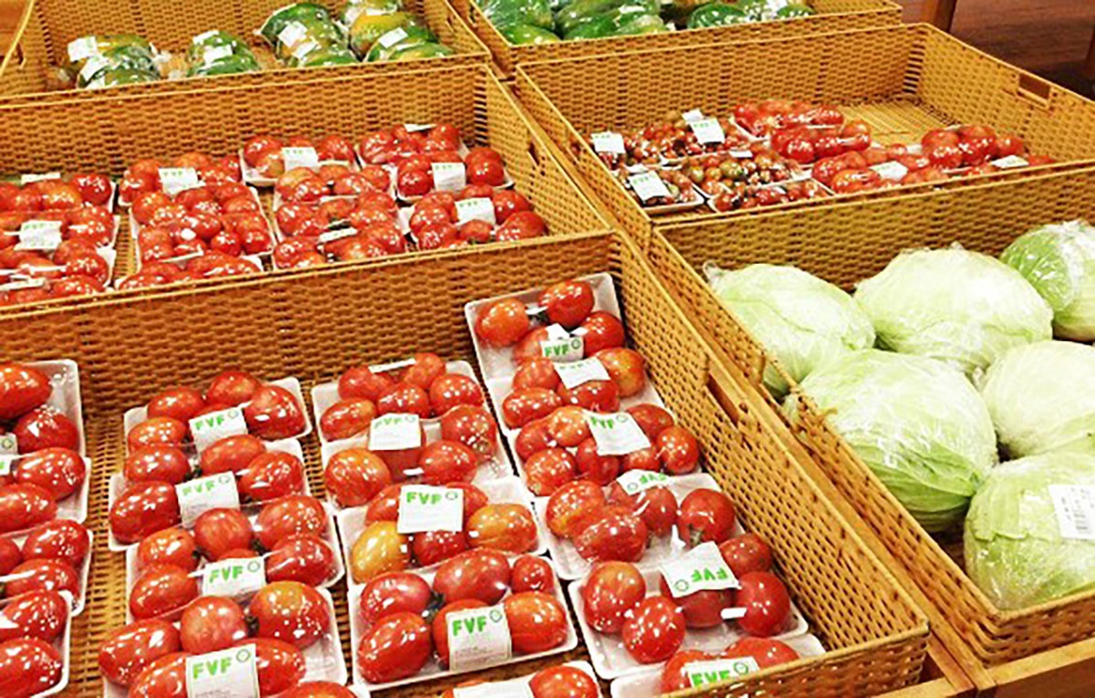 TH ‘rót’ 620 tỉ xây nhà máy chế biến thực phẩm sạch ở Thái Bình - ảnh 3