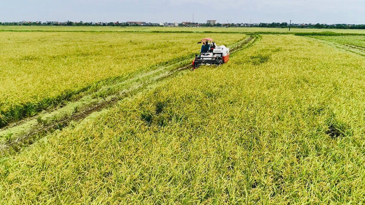 TH ‘rót’ 620 tỉ xây nhà máy chế biến thực phẩm sạch ở Thái Bình - ảnh 4