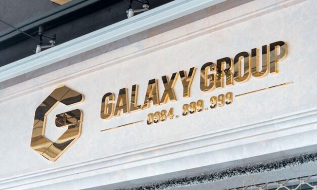 ELLY được tôn vinh Top 100 thương hiệu dẫn đầu Việt Nam 2020