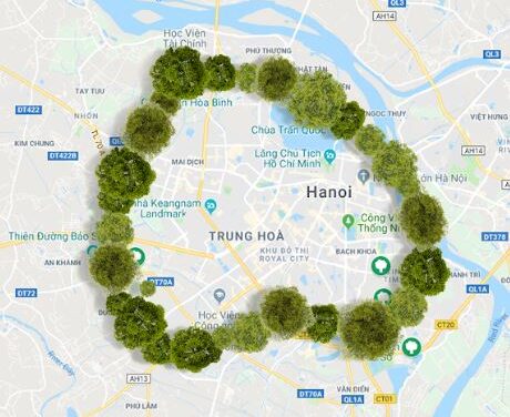 Trái tim xanh giữa lòng Hà Nội: Hành trình trồng cây chung tay bảo vệ môi trường
