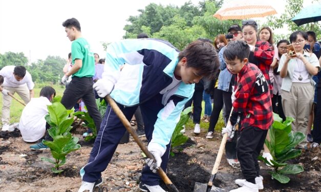 Unilever begins programme to grow trees