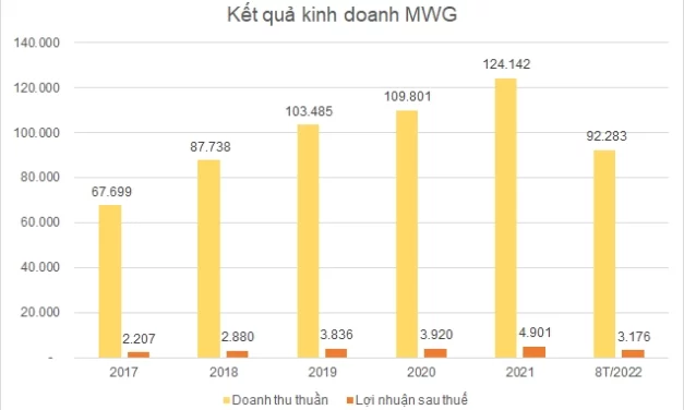 Hành trình tìm kiếm động lực tăng trưởng của MWG
