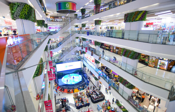 Tuổi 15 của SCID